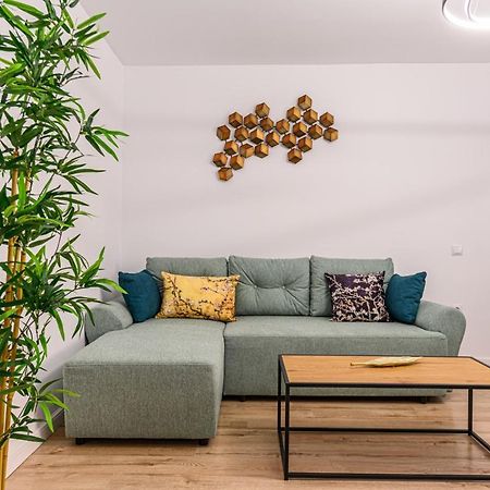Schei Gate Apartment Brasov Bagian luar foto