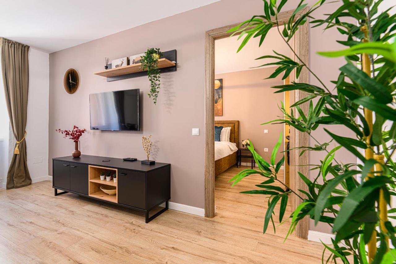 Schei Gate Apartment Brasov Bagian luar foto